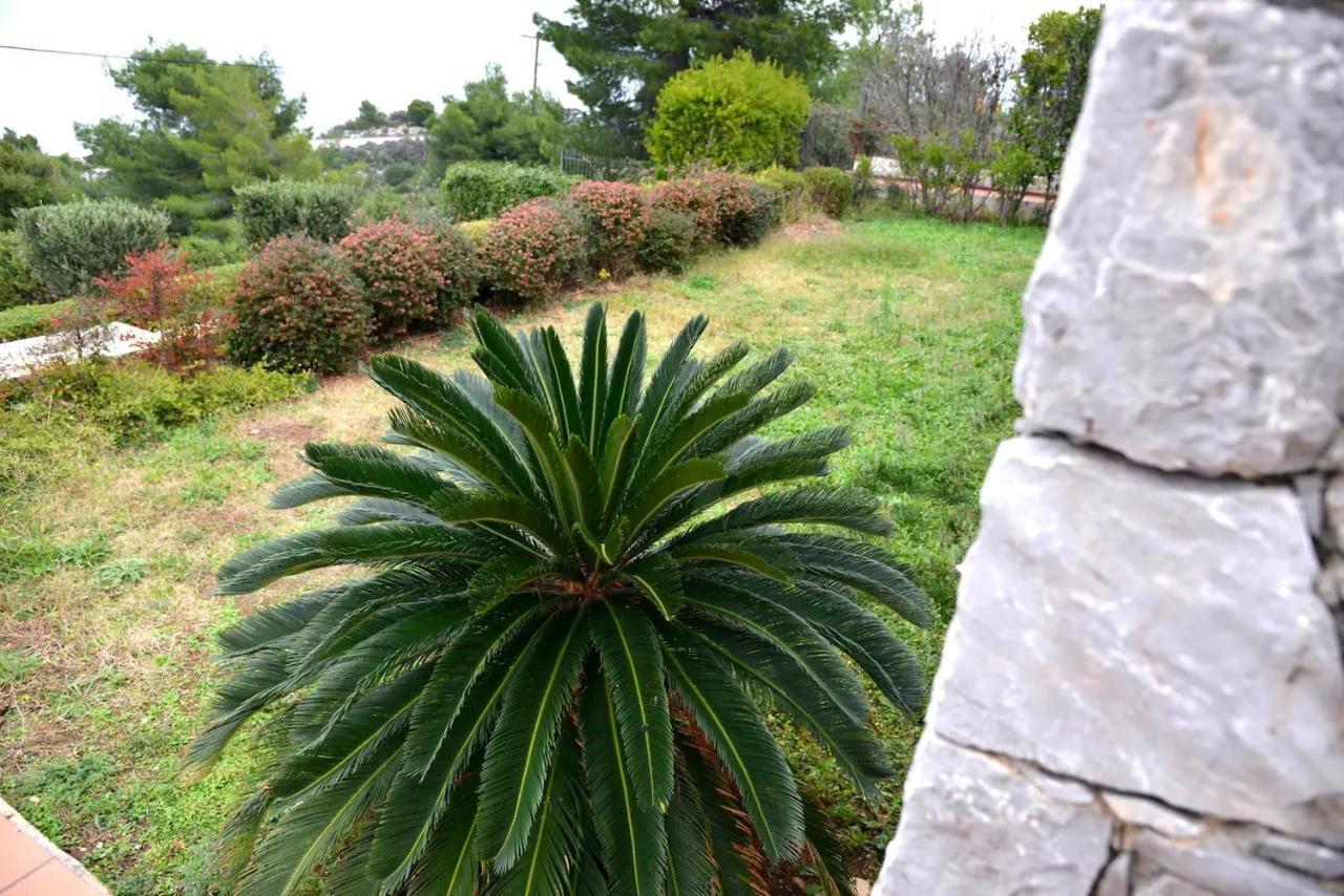 Vila Amalia Theologos  Dış mekan fotoğraf